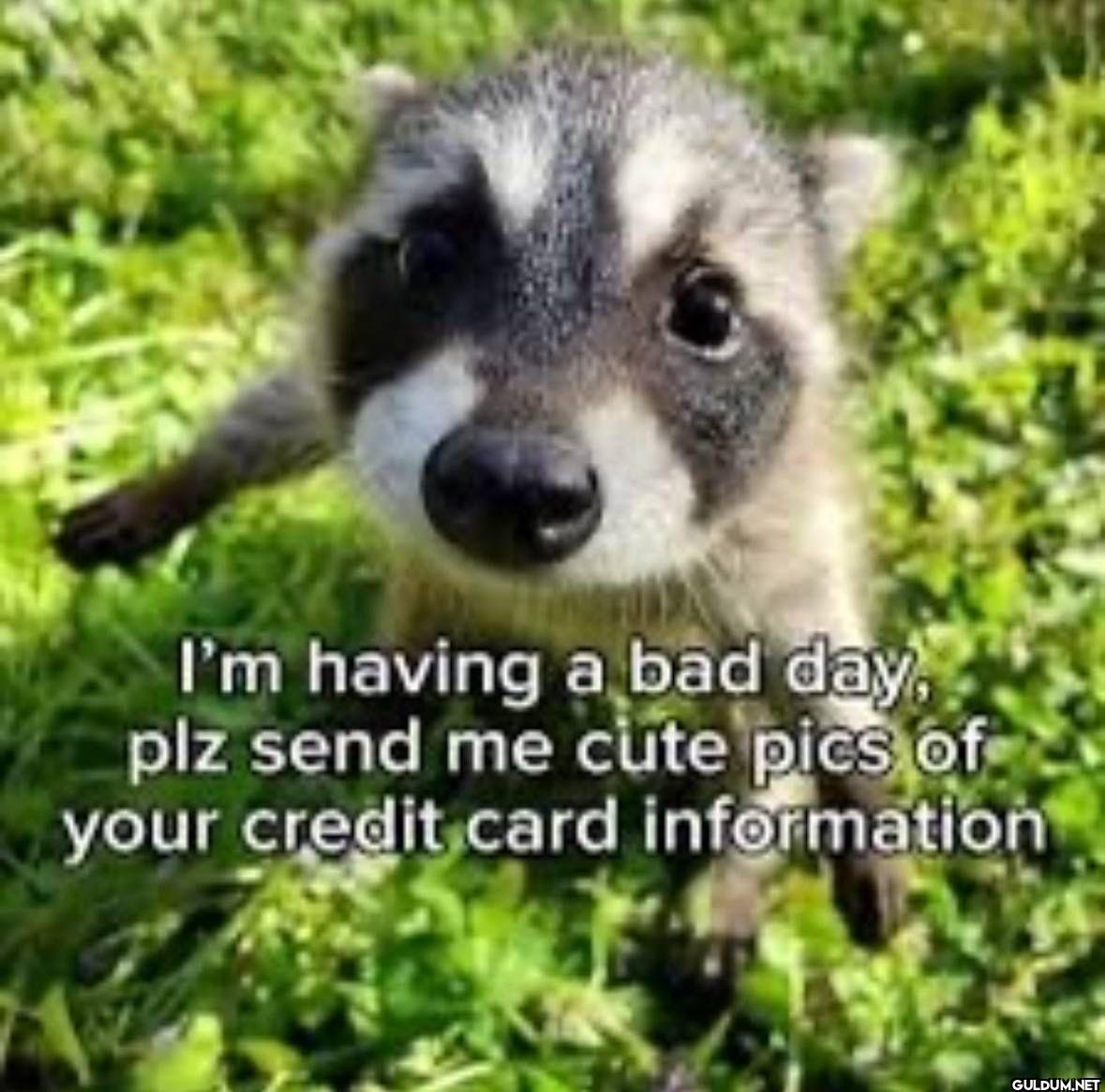 I'm having a bad day, plz...