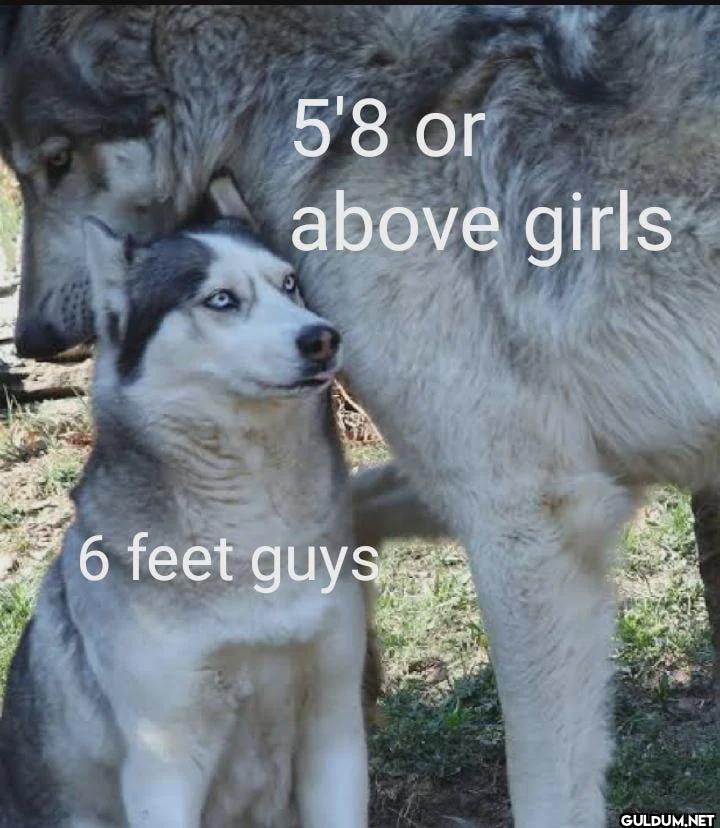 5'8 or above girls 6 feet guys