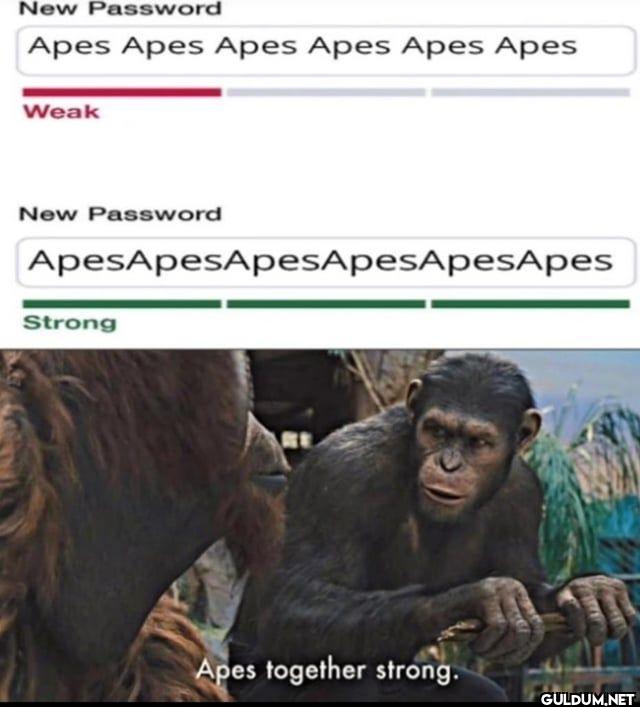 New Password Apes Apes...