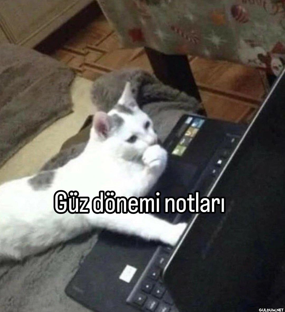 Güz dönemi notları