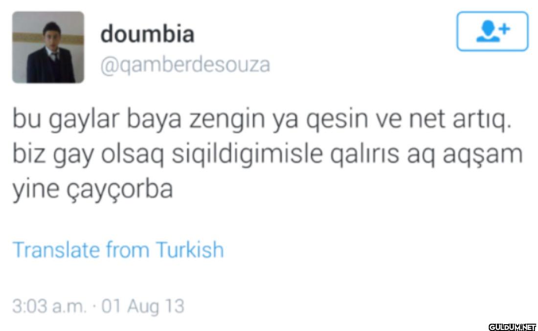 bu gaylar baya zengin ya...