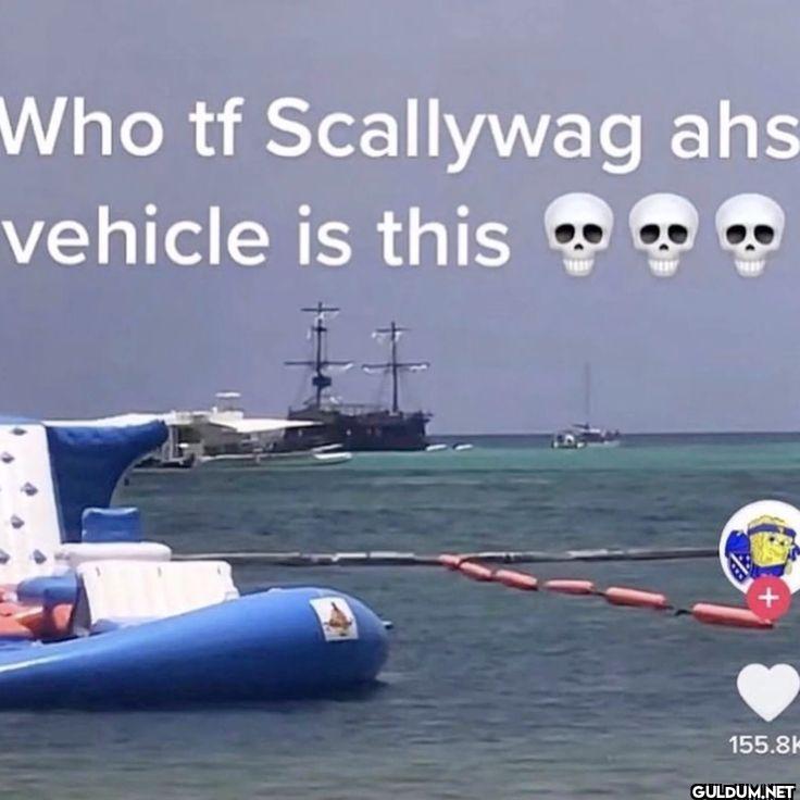 Who tf Scallywag ahs...