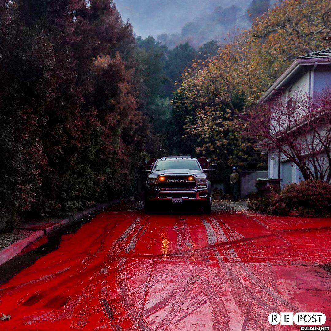 Surreal pictures of LA...