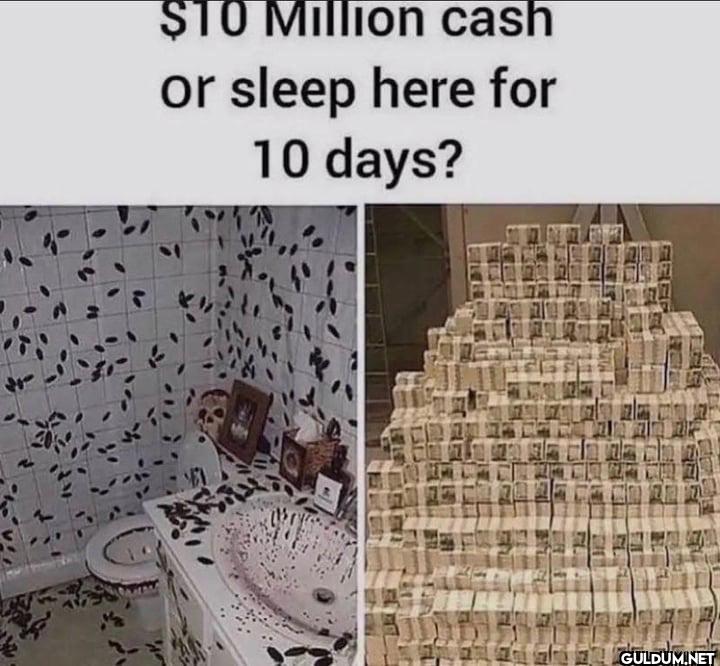 $10 Million cash or sleep...