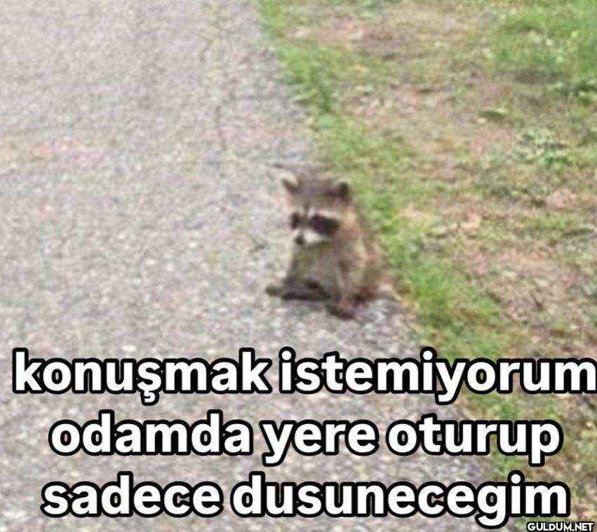 konuşmak istemiyorum...