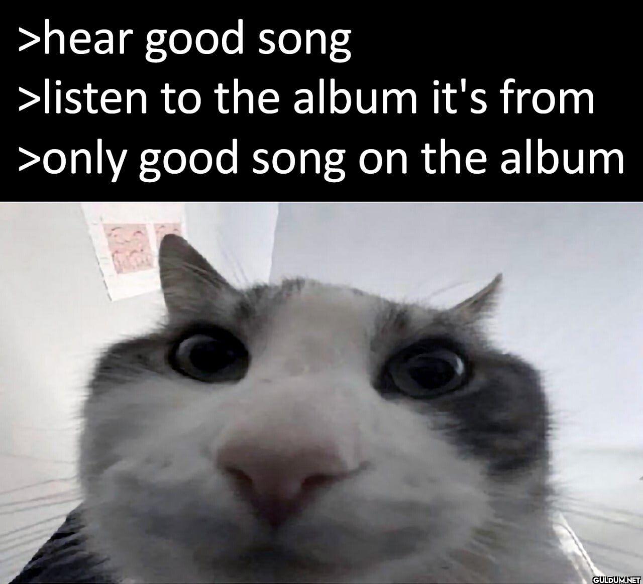 >hear good song >listen to...
