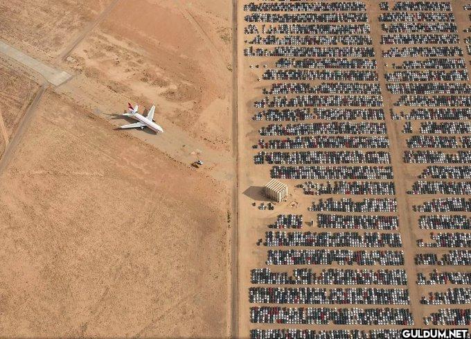 5. Thousands of Volkswagen...