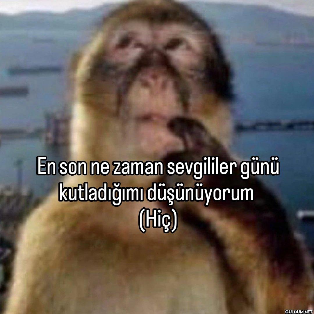 En son ne zaman sevgililer...