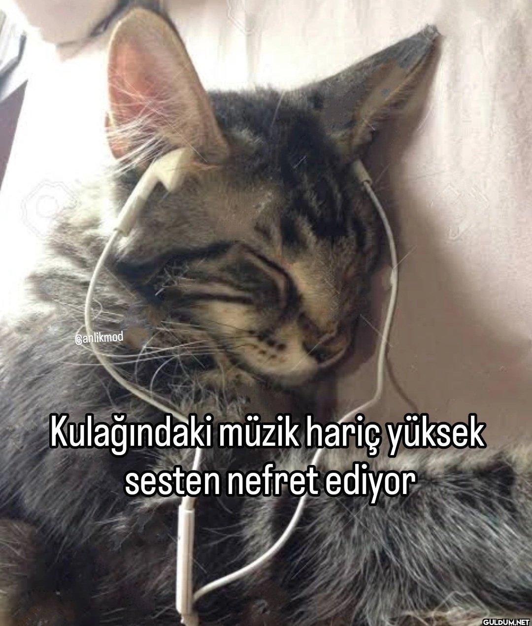 Banlikmod Kulağındaki...