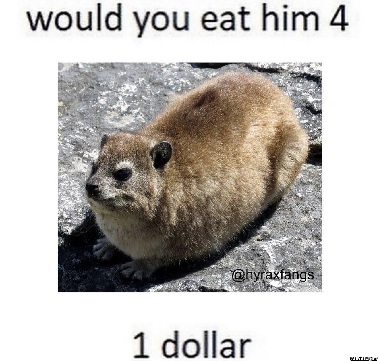 1 dollar