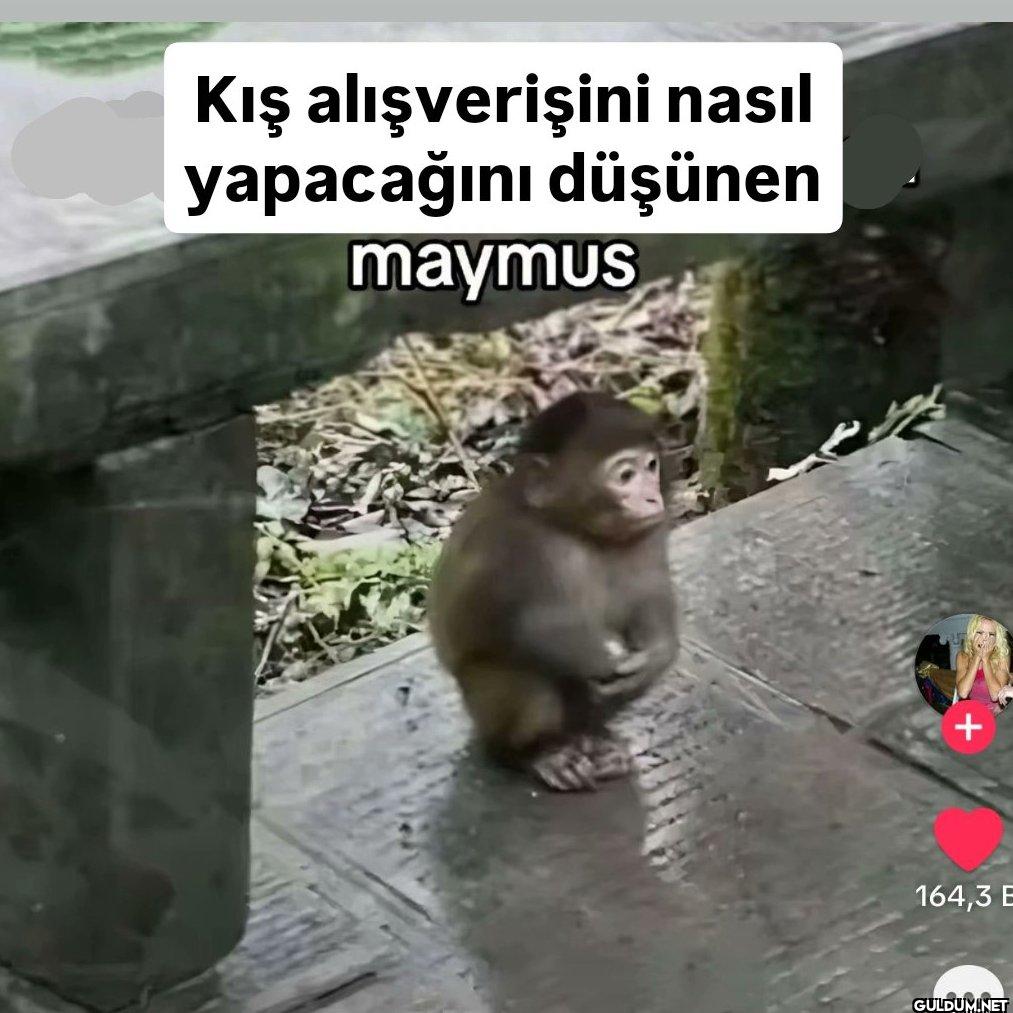Kış alışverişini nasıl...