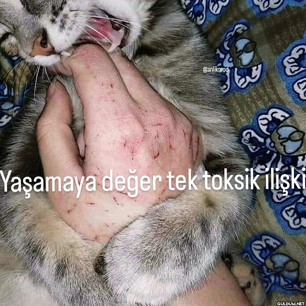 Banlikmod คล Yaşamaya...