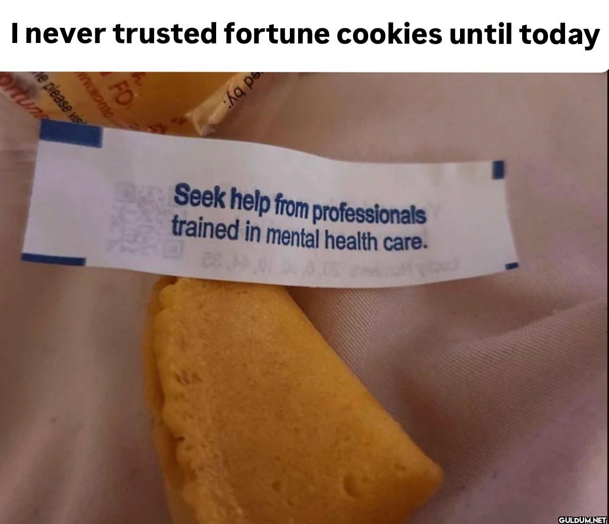 ︎ ︎    I never trusted...