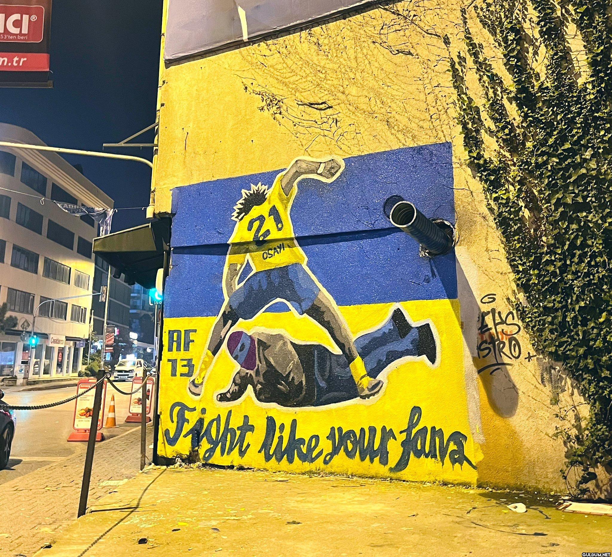 Kadıköy Belediyesi, Osayi...