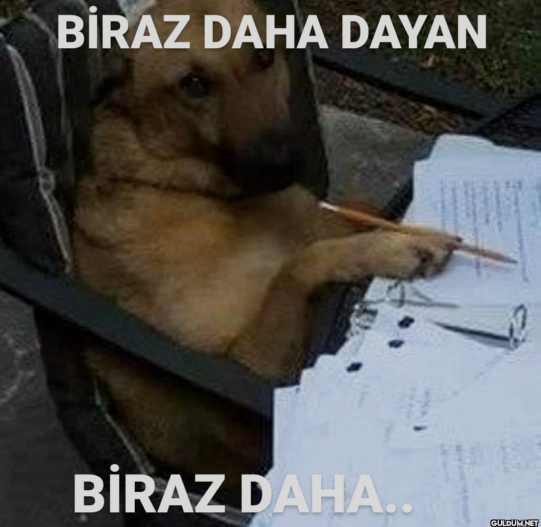 BİRAZ DAHA DAYAN BİRAZ DAHA.
