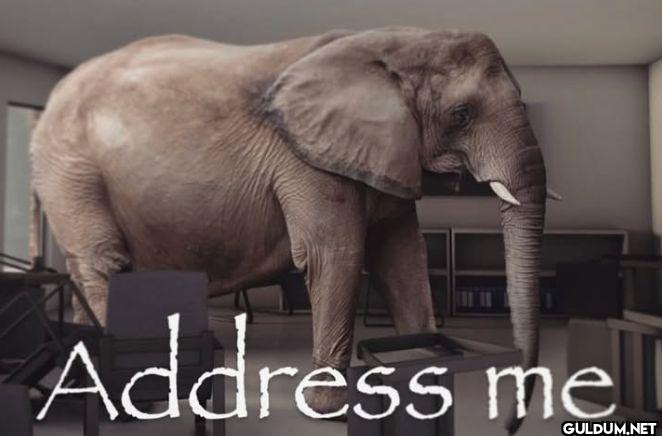 Address me