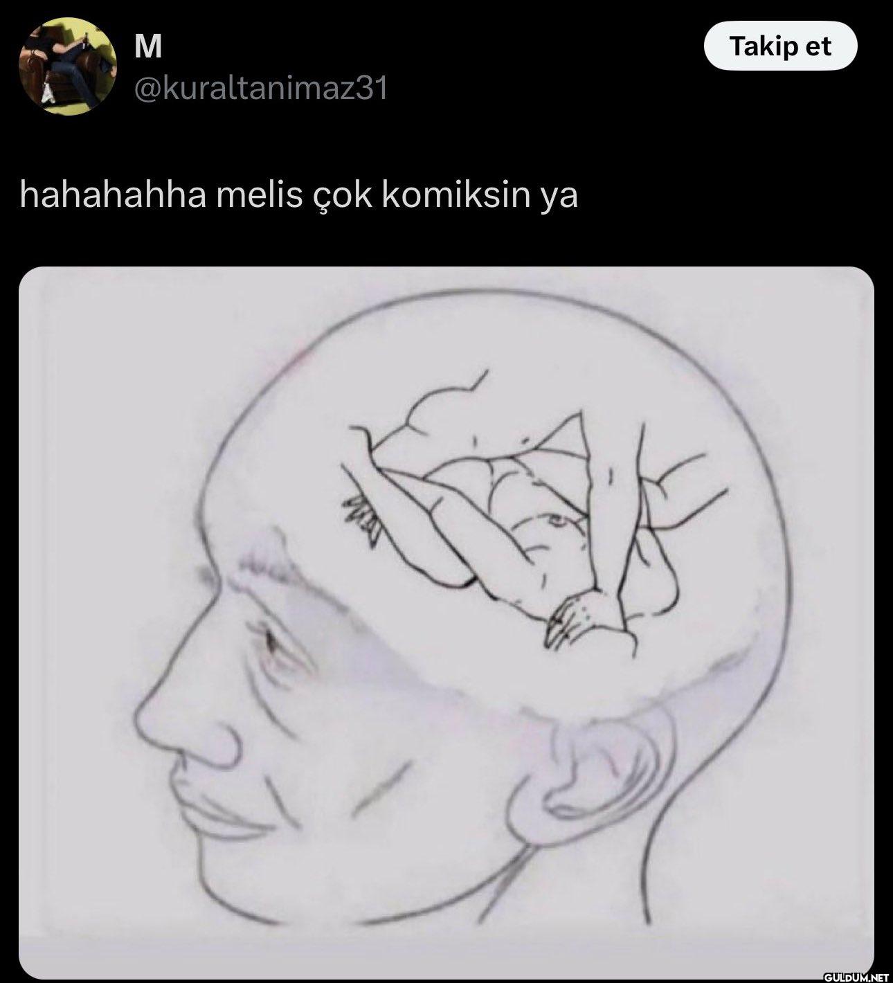 hahahahha melis çok...