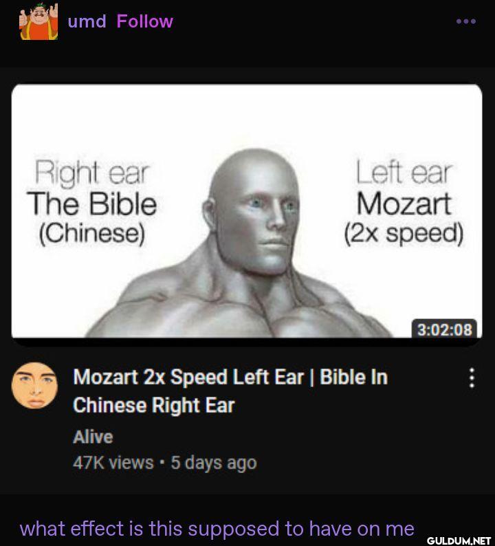 umd Right ear The Bible...
