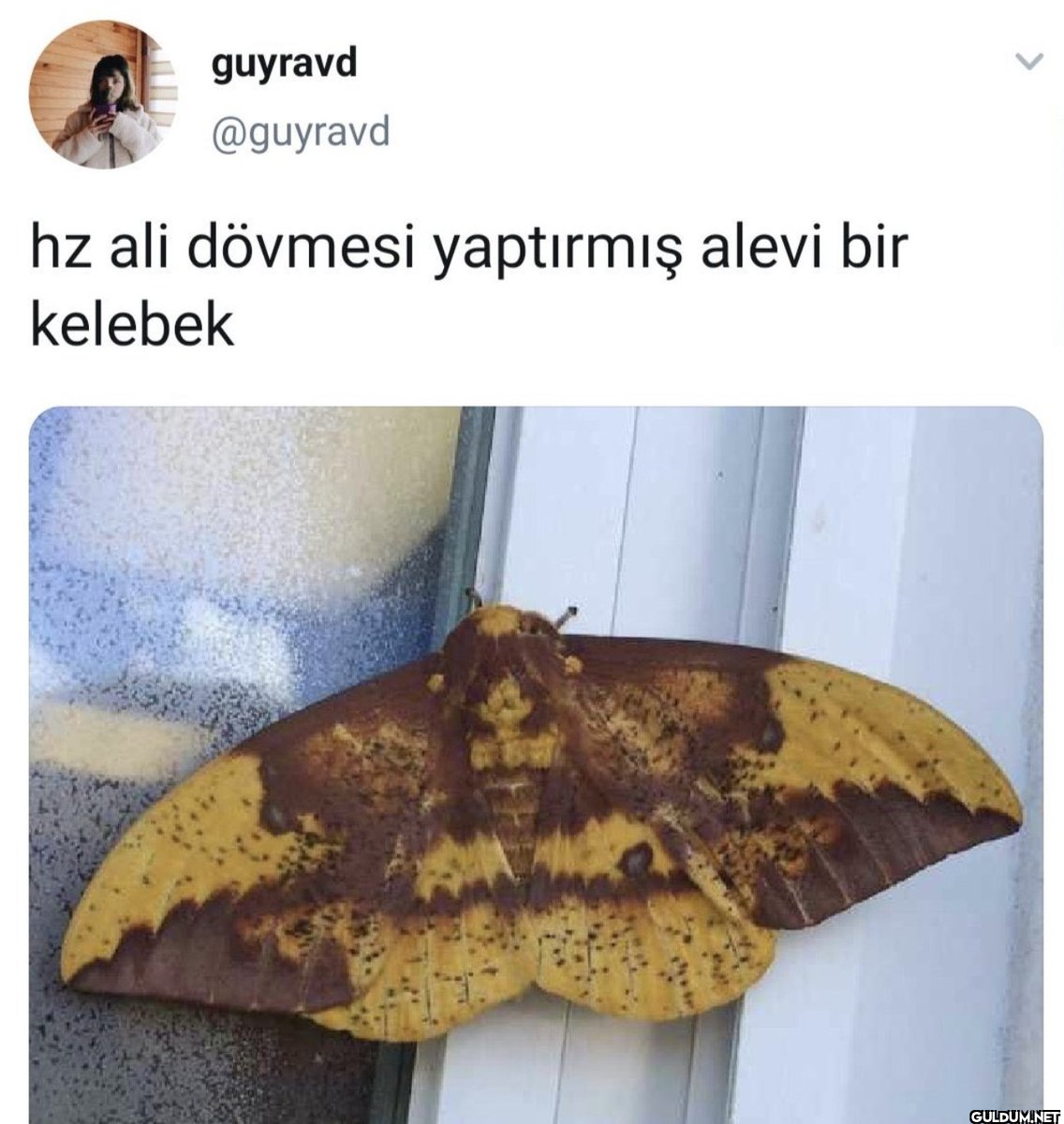 hz ali dövmesi yaptırmış...