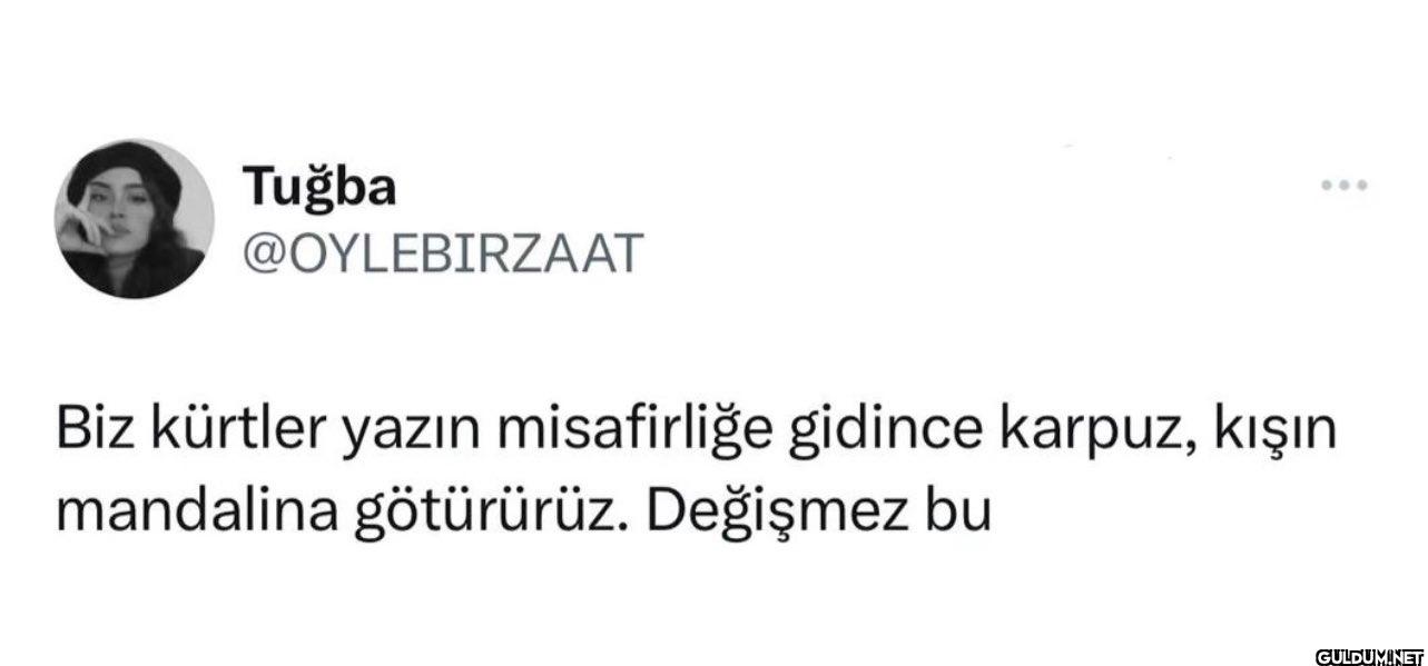 Biz kürtler yazın...