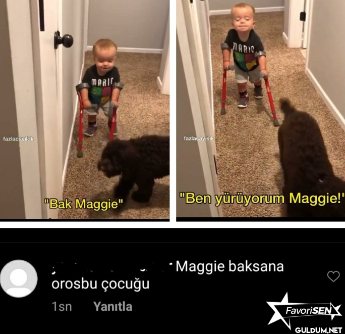 fazlacayikik MPRIC "Bak...