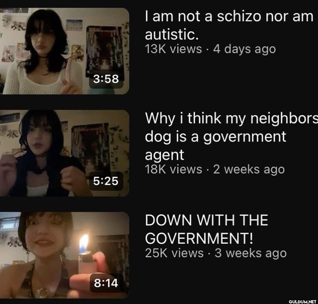 3:58 I am not a schizo nor...