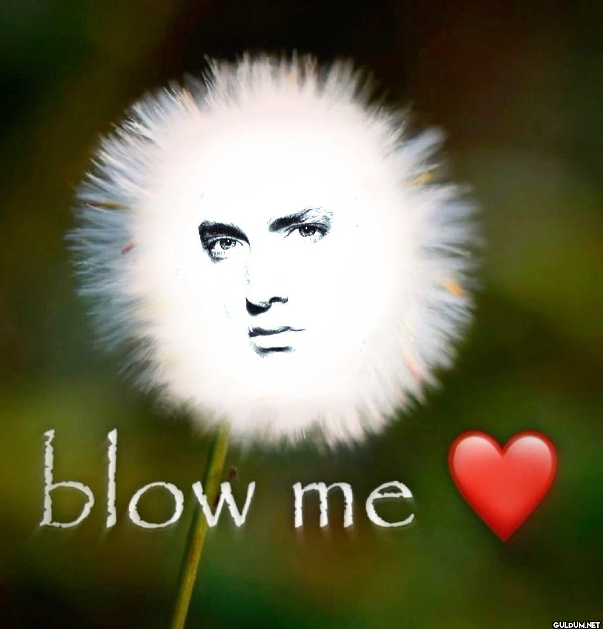 blow me