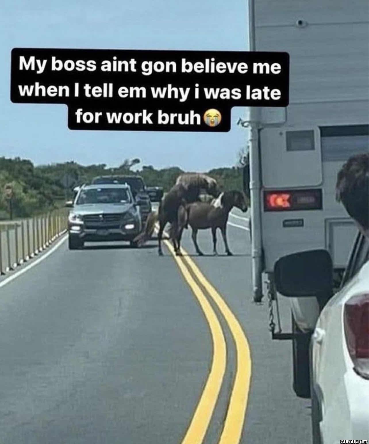 My boss aint gon believe...