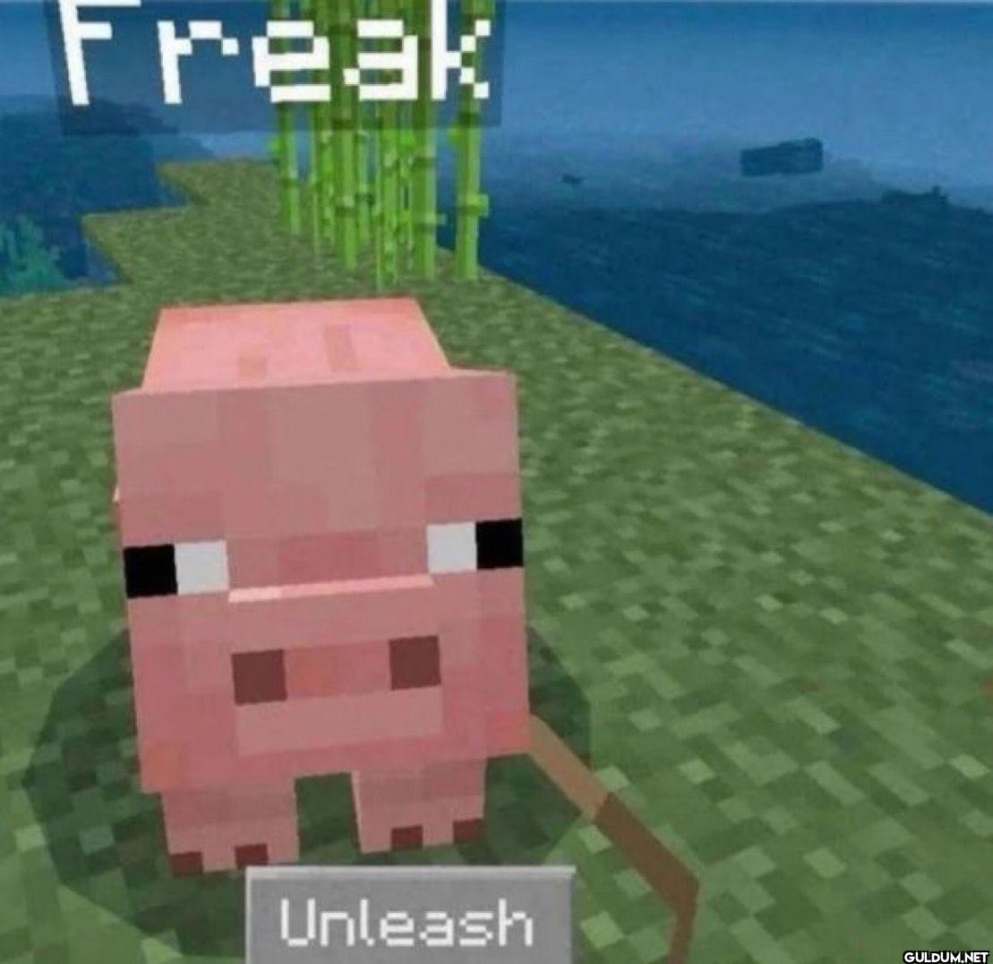 Freak Unleash