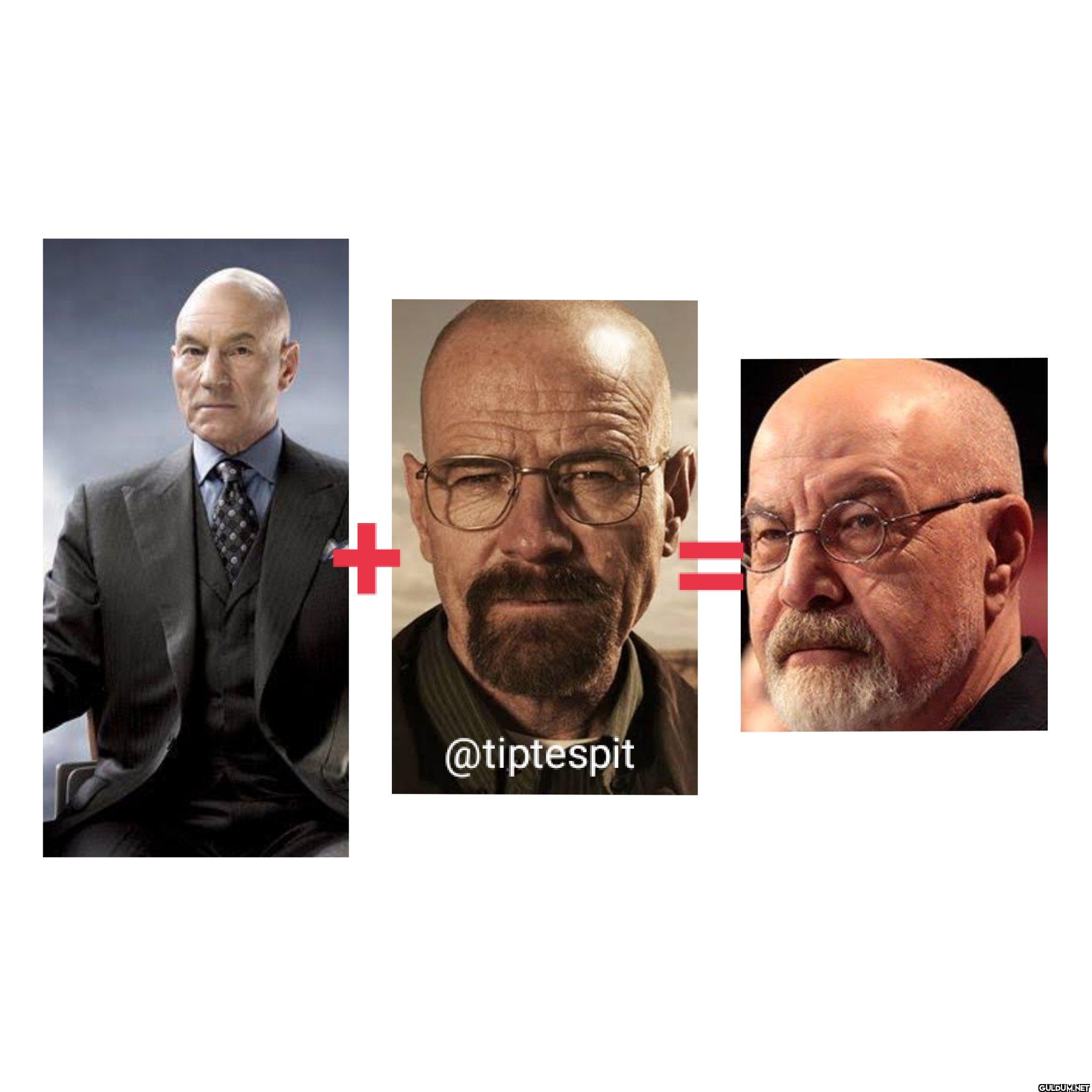 Profesör X (Patrick...