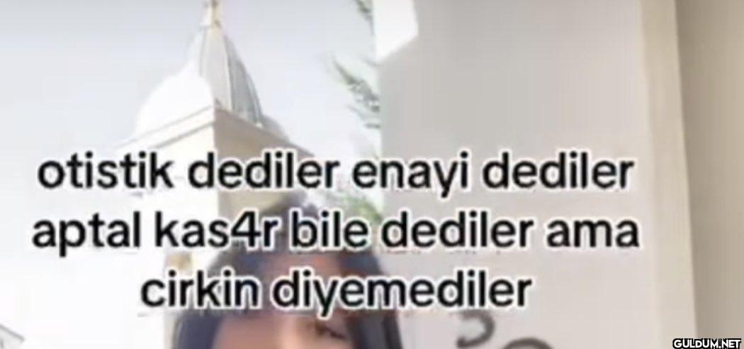 otistik dediler enayi...