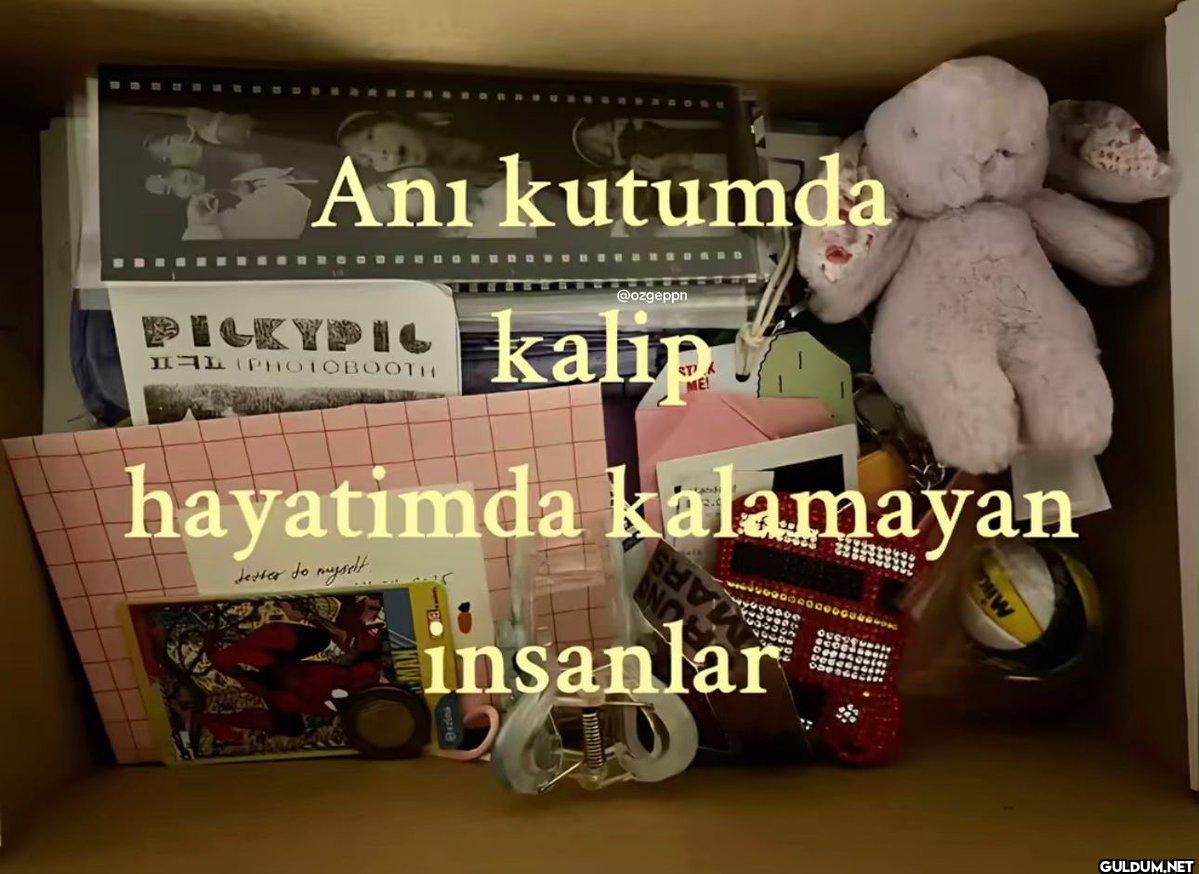 Anı kutumda PICKYPIC...