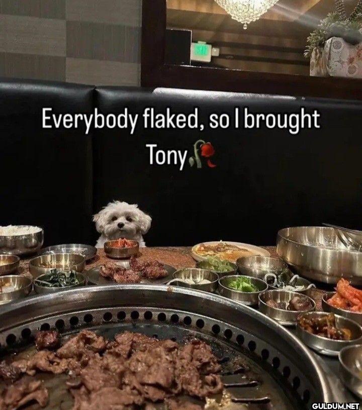 Everybody flaked, so I brought Tony