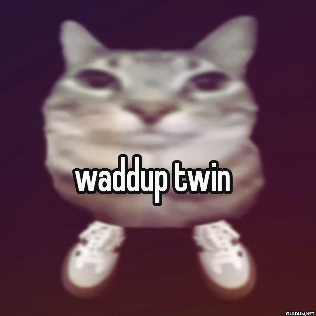 waddup twin