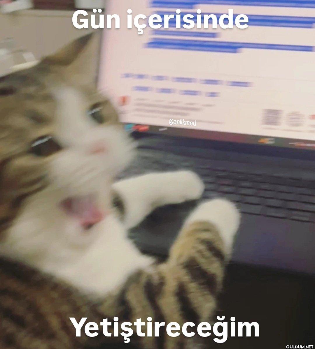 Gün içerisinde Banlikmod...
