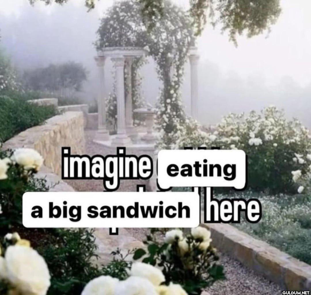 imagine Leating a big sandwich here