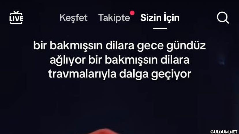 LIVE Keşfet Takipte Sizin...
