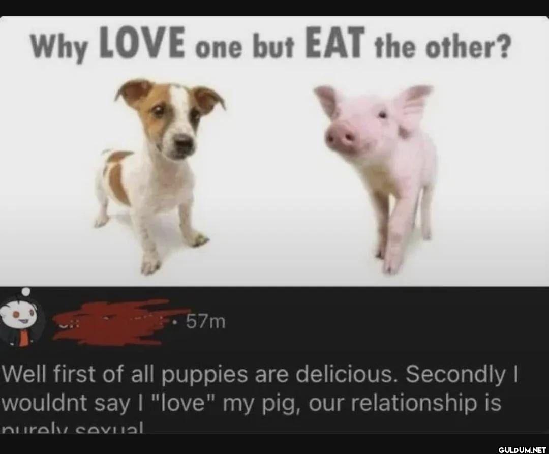 Why LOVE one but EAT the...