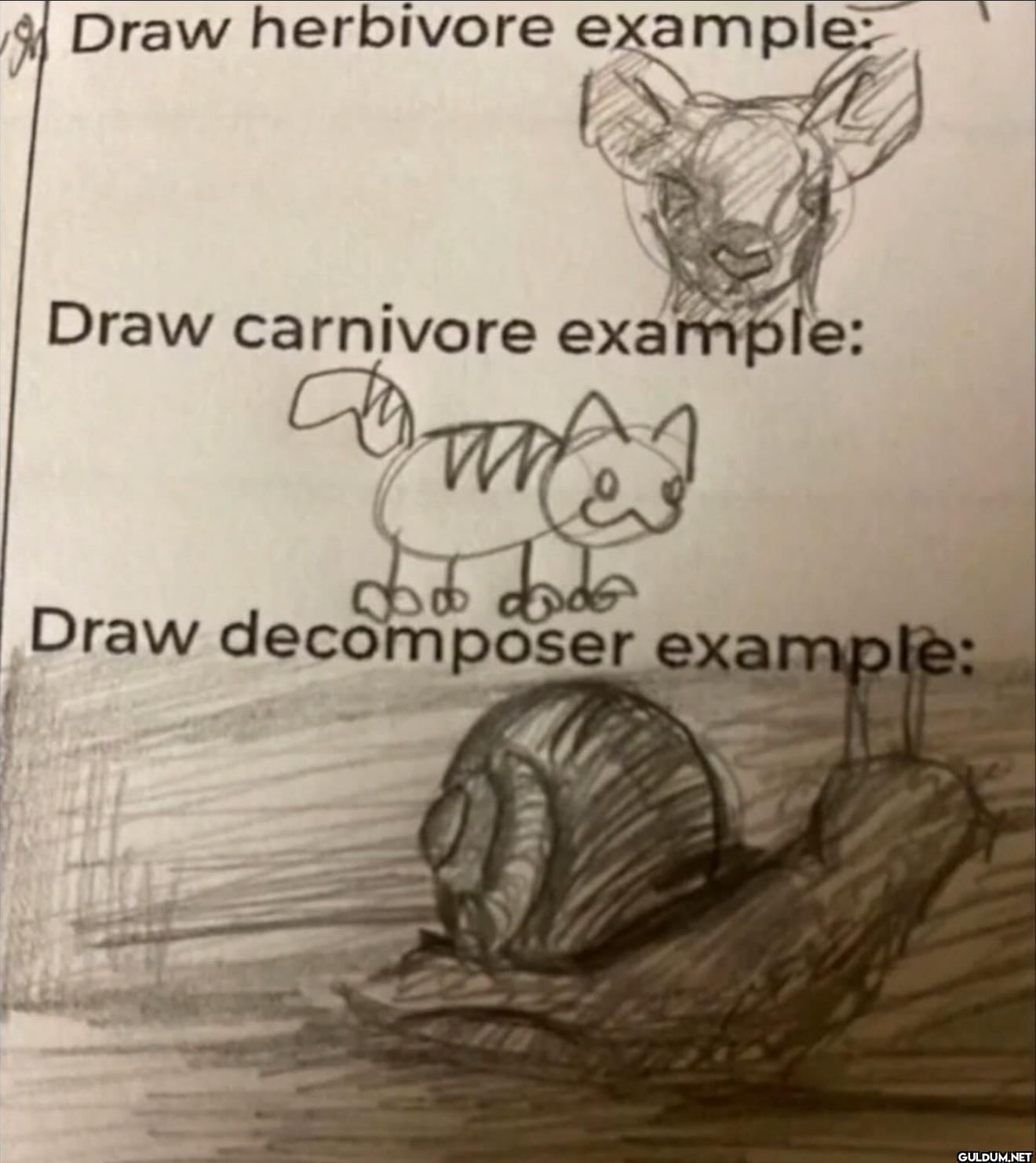 Draw herbivore example:...