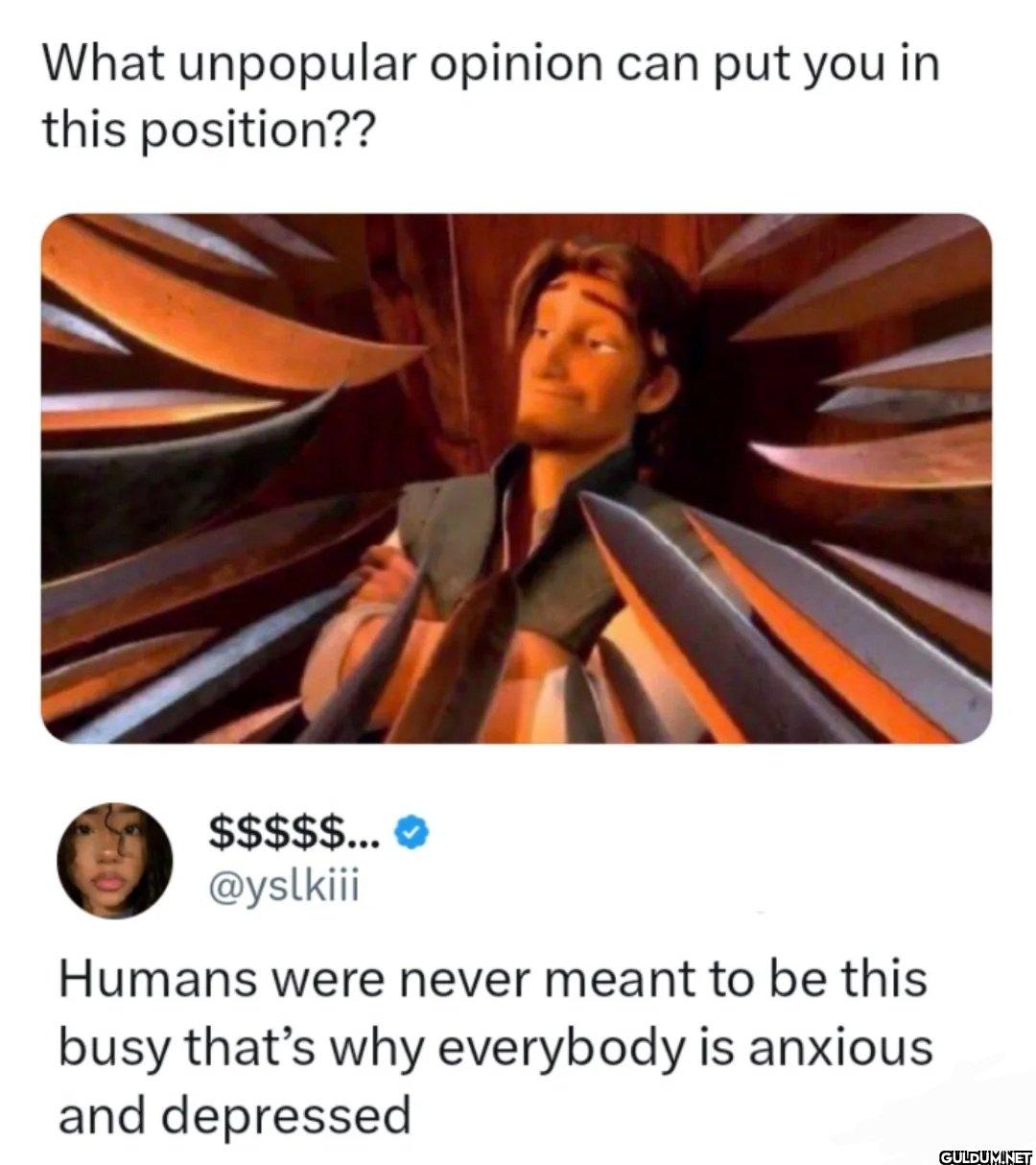 Thoughts?    What...