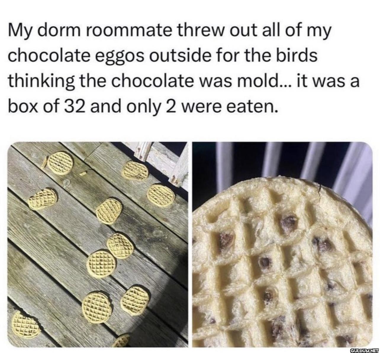 My dorm roommate threw out...