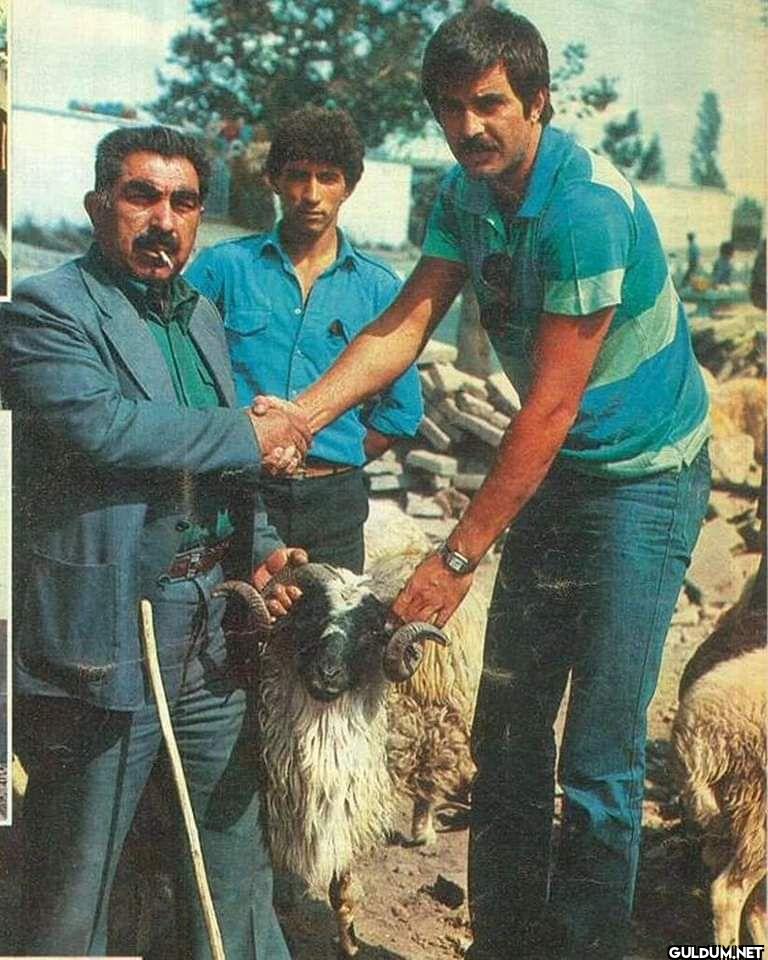 1982, Tarık Akan Kurban...