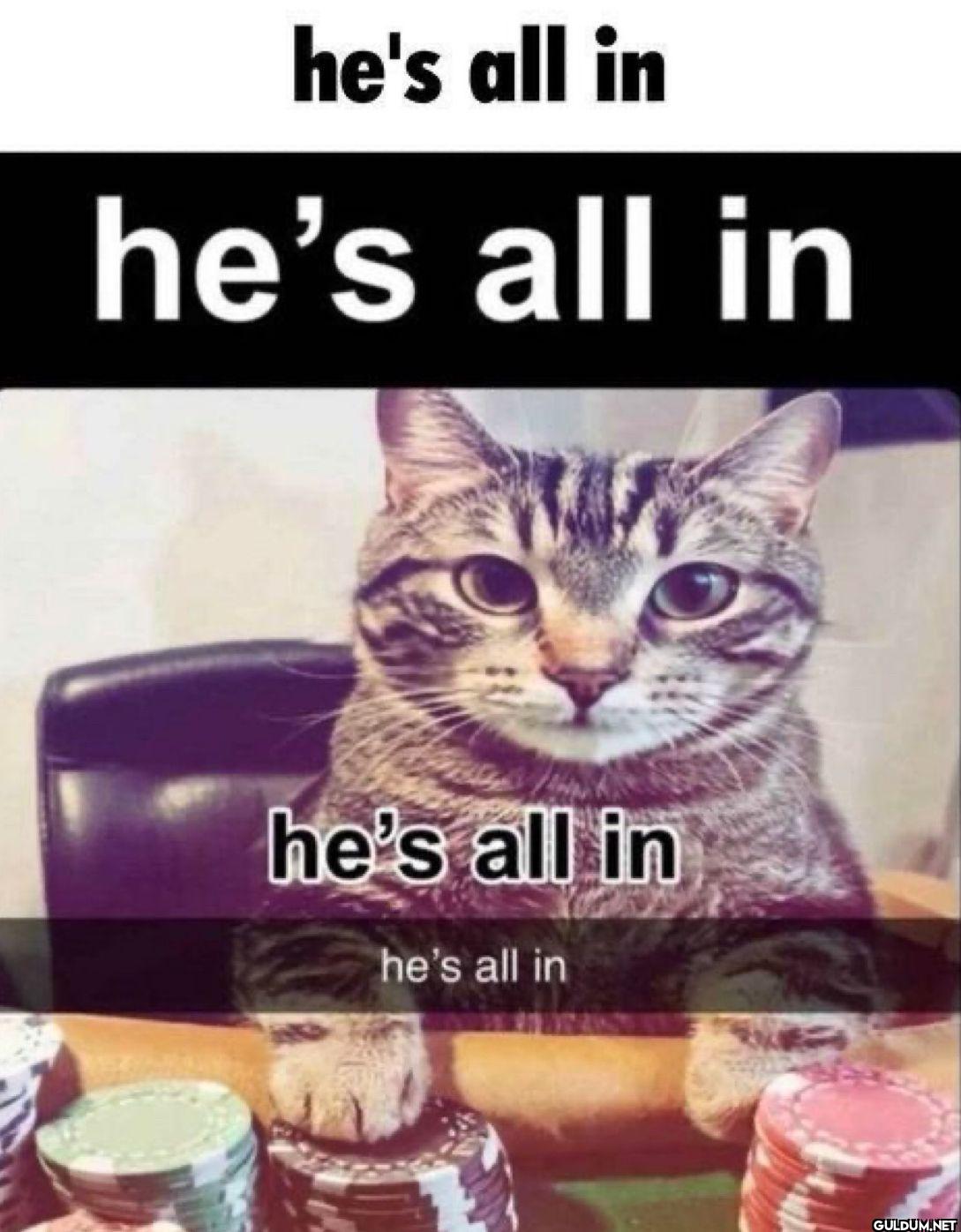 he's all in he's all in...