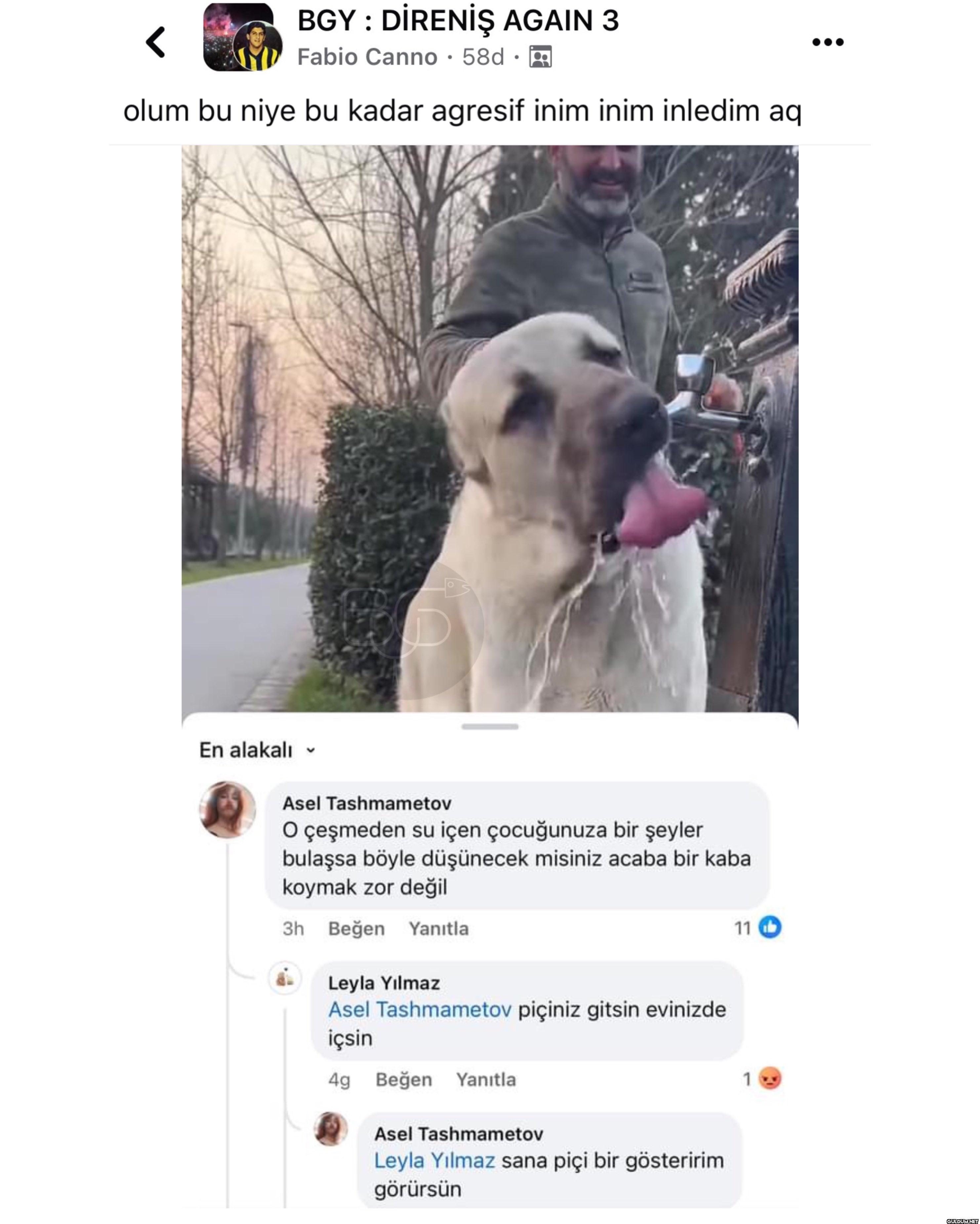 Bu ne oglum    BGY:...