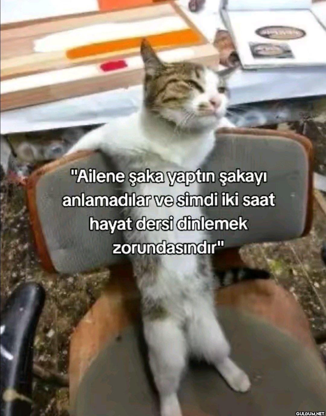 "Ailene şaka yaptın şakayı...