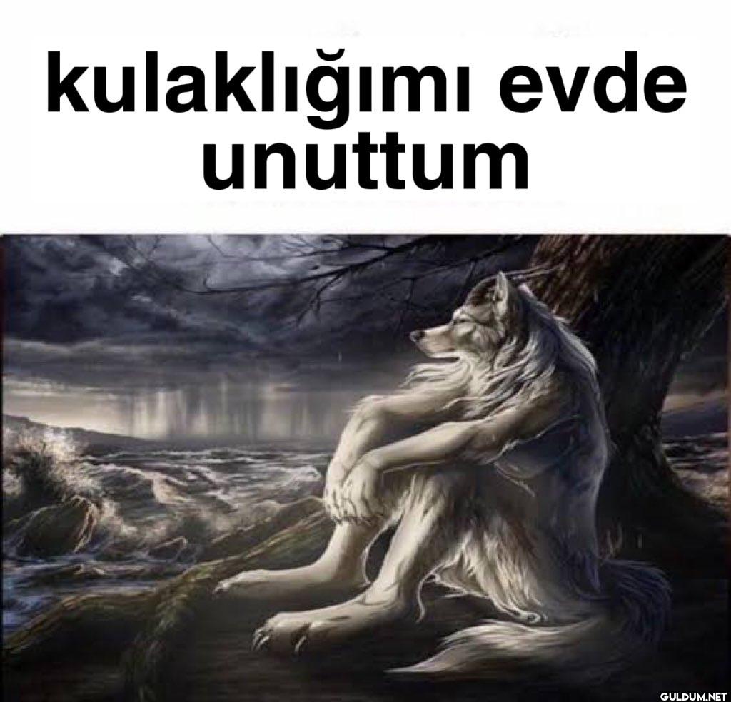 kulaklığımı evde unuttum