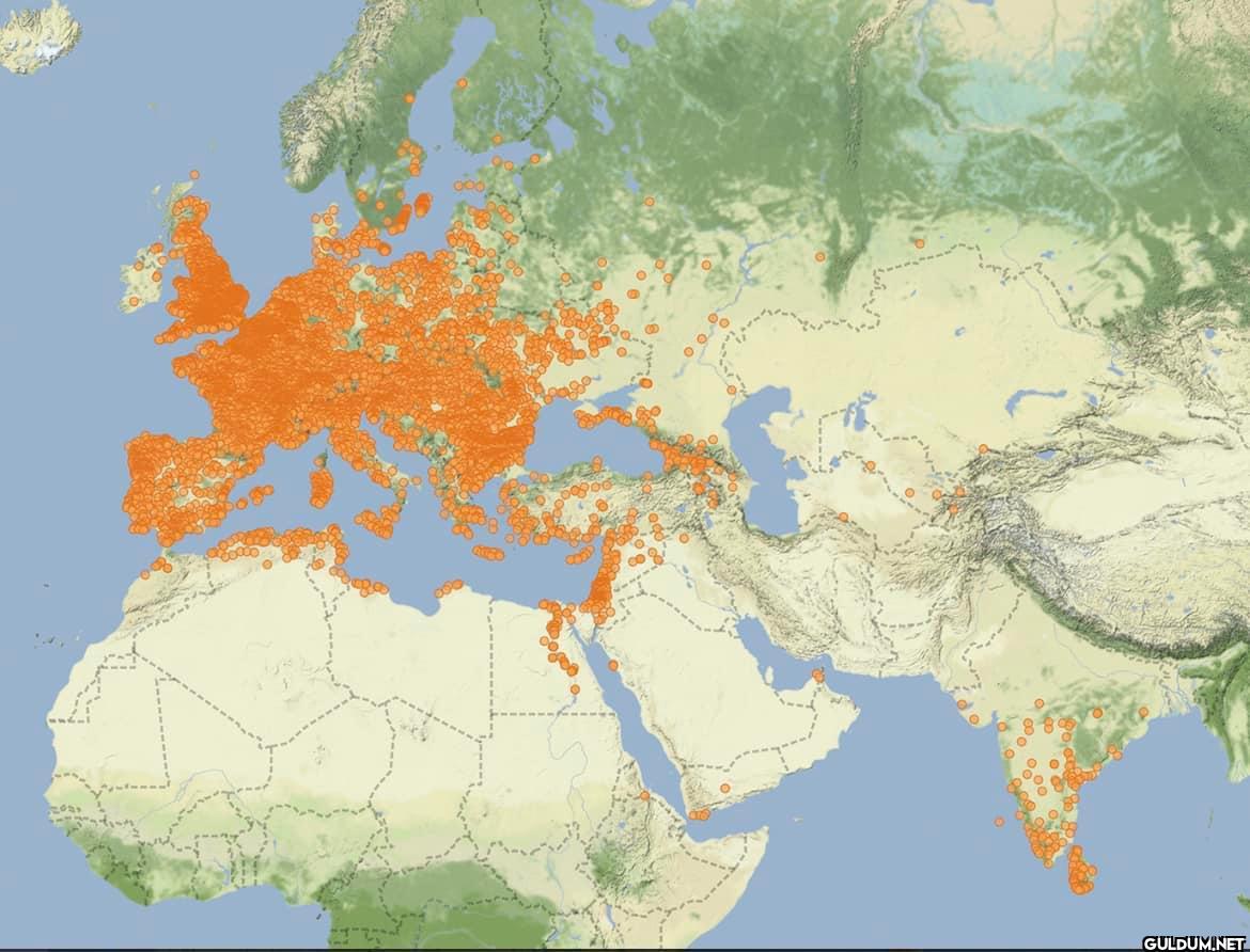 Where Roman coins have been found