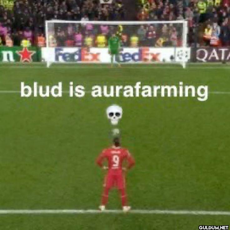 blud is aurafarming