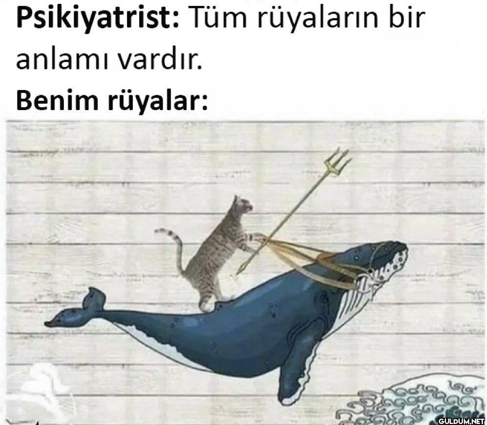 Psikiyatrist: Tüm...