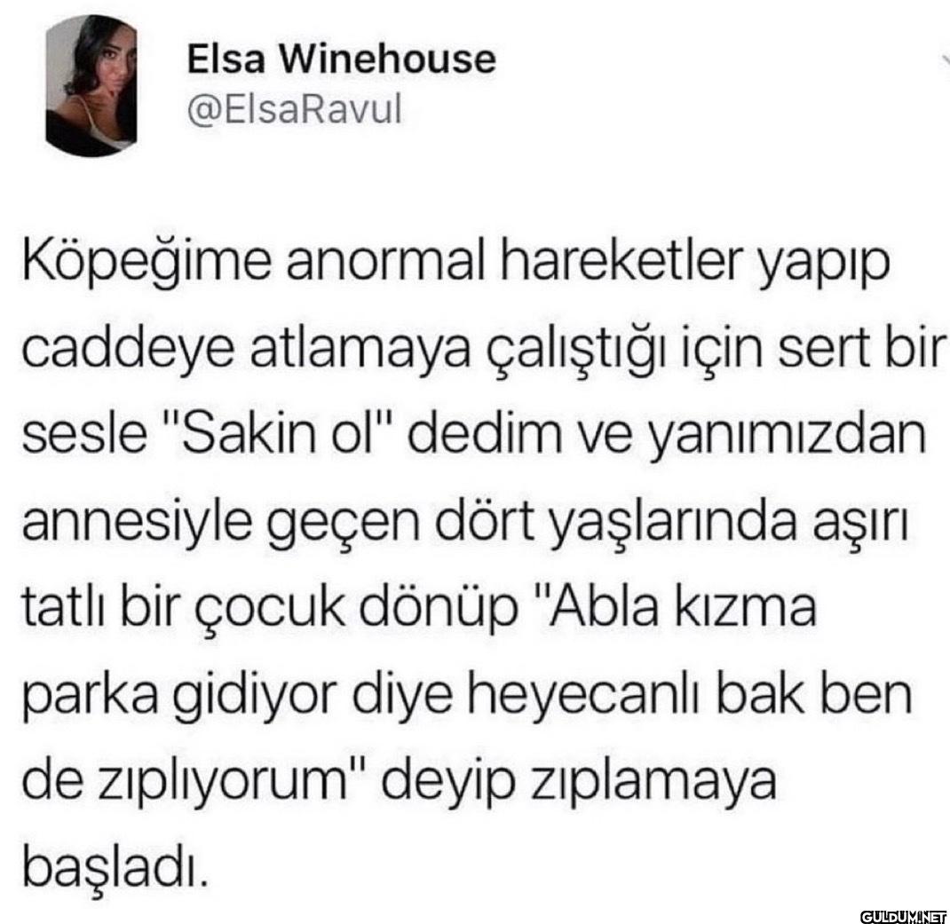 Köpeğime anormal...